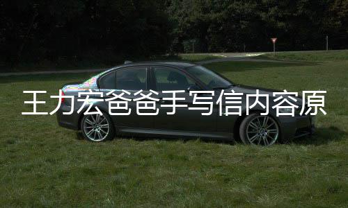 爸手币内容李靓蕾怀原文孕逼要数亿台写信王力 称宏爸婚