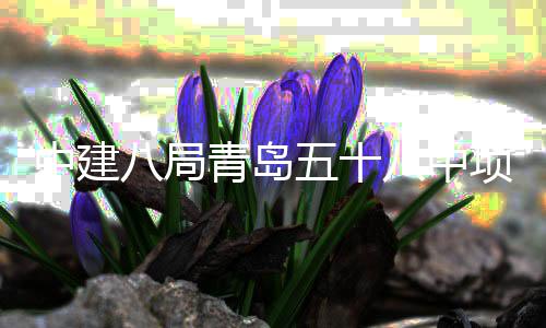 八局八中青岛全部项目中建主体五十封顶