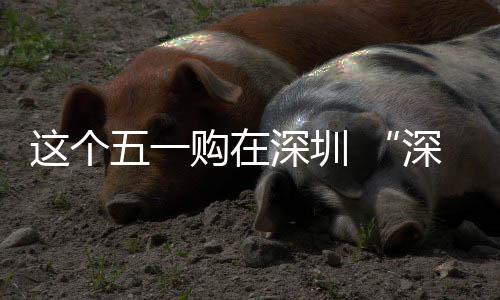 购在启动开享生这个之约五一 畅促消费活活深圳深圳